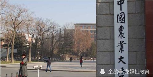 重慶迎五所雙一流大學布局，含兩所985高校南京環(huán)保工程校區(qū)